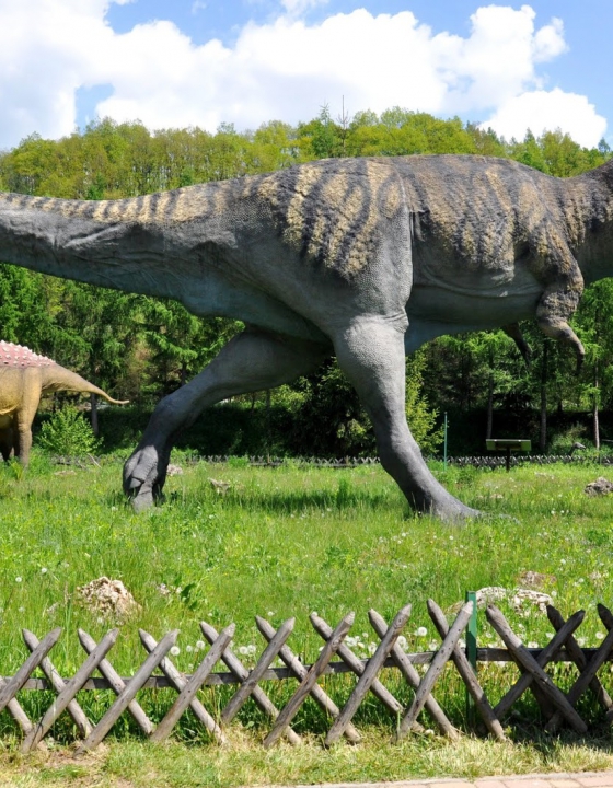 Jura Park w Bałtowie to nie tylko dinozaury!